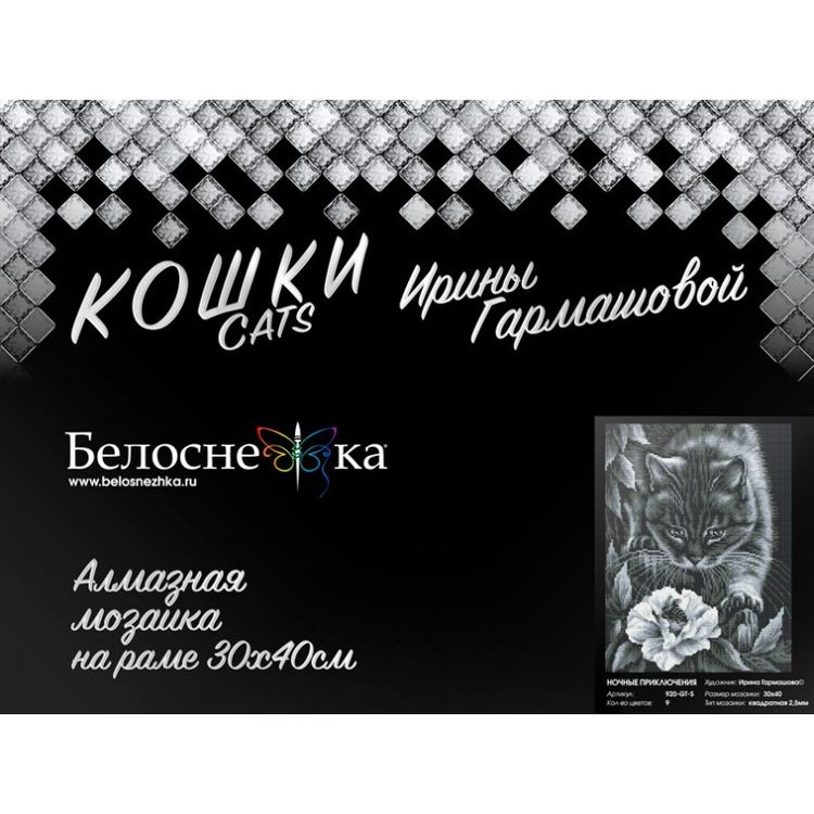 Алмазная вышивка «Ночные приключения» — картинка 2