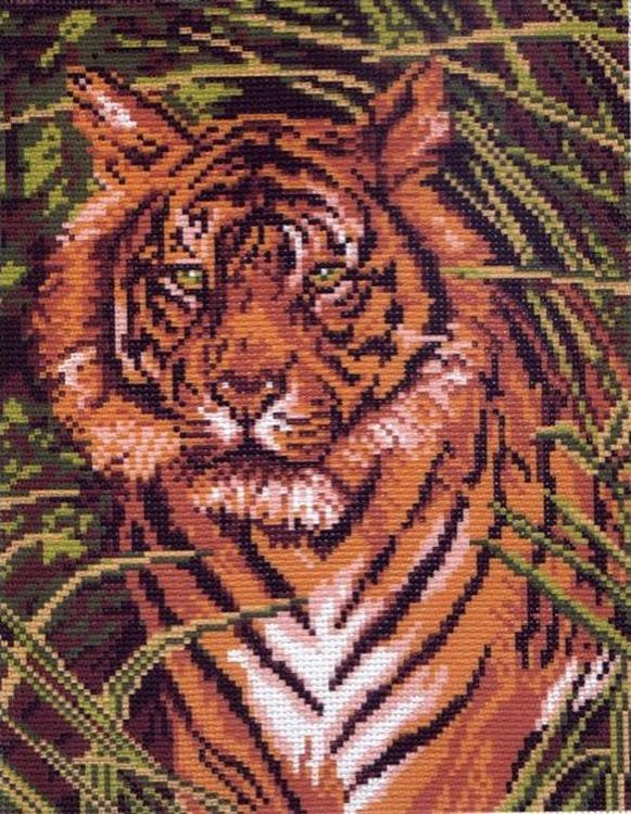 Рисунок на канве «Тигр»