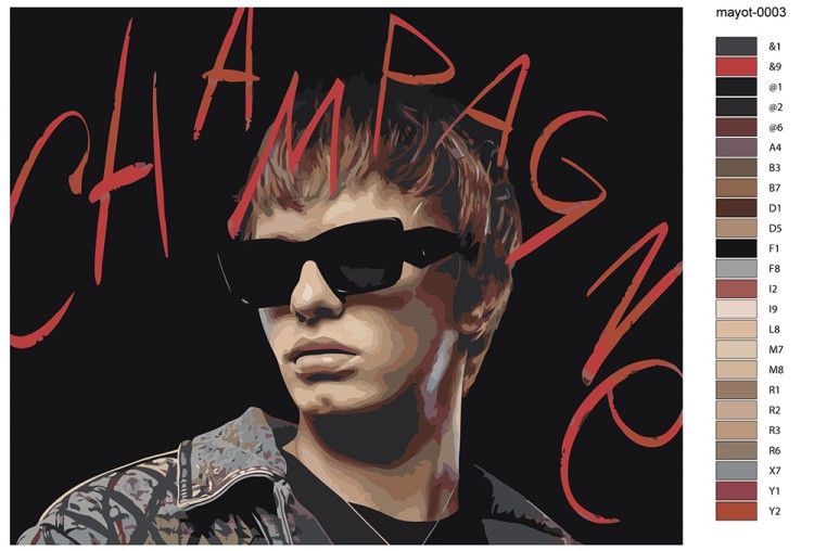Картина по номерам «Mayot Майот Моет: Champagne» — картинка 2