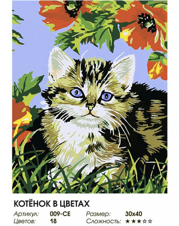 Картина по номерам «Котенок в цветах» — картинка 2