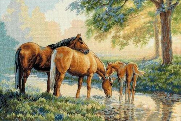 Алмазная вышивка «На водопое»