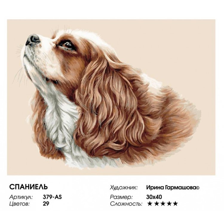 Картина по номерам «Спаниель» — картинка 2
