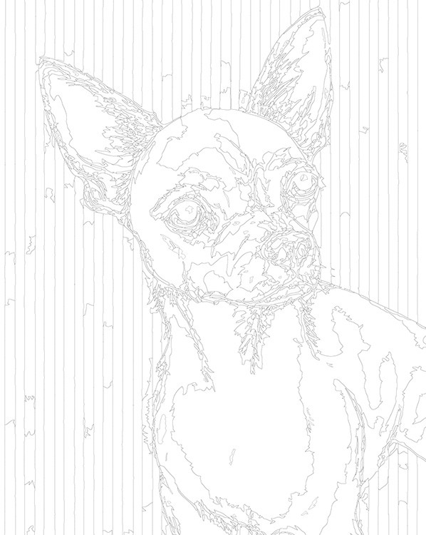 Картина по номерам «Собаки: Той терьер арт рисунок 40x50» — картинка 3