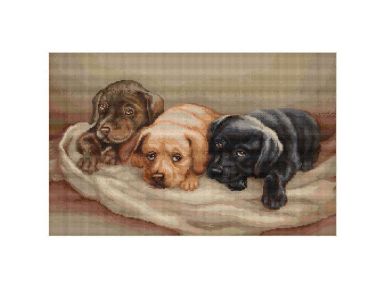 Набор для вышивания «Три собачки»