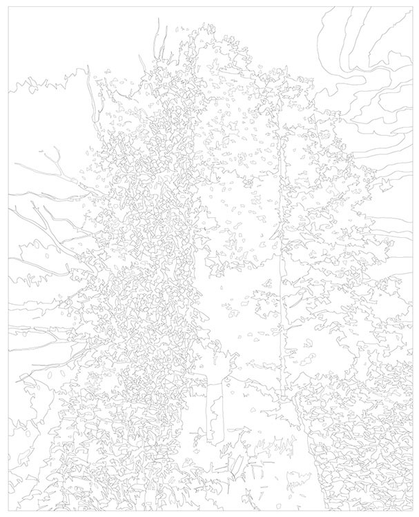 Картина по номерам «Природа: Дерево времена года - зима, весна, лето, осень 2» — картинка 3