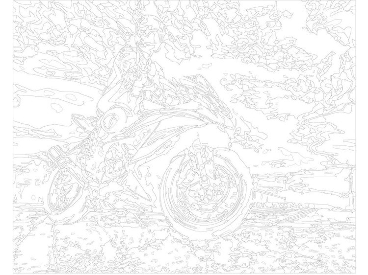 Картина по номерам «Мотоциклист» — картинка 3