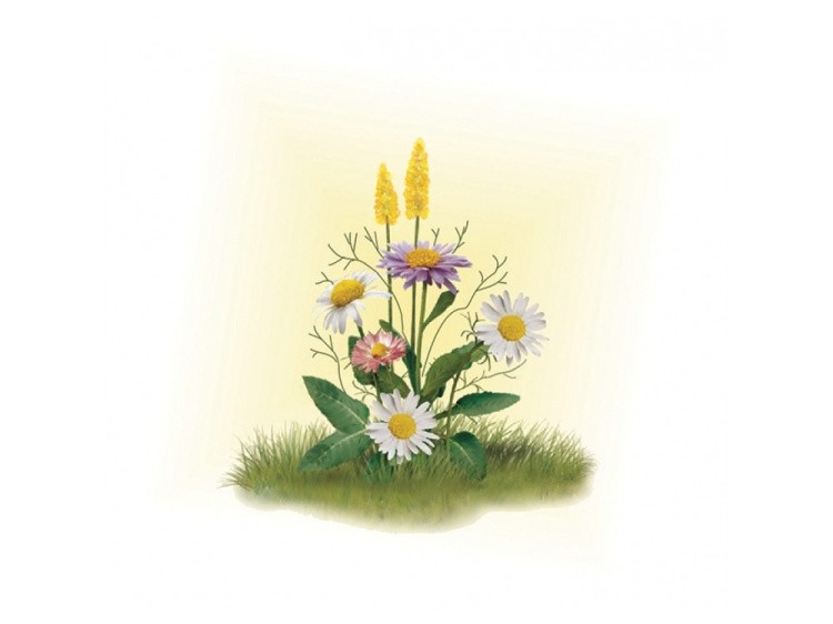 Набор для вышивания «Ромашки с цветочками» — картинка 2