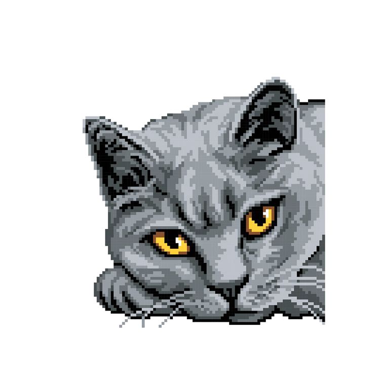 Алмазная вышивка «Британская кошка» — картинка 2