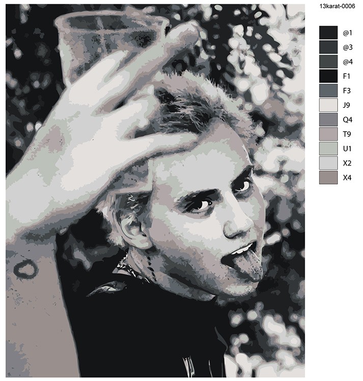 Картина по номерам «Поп-рок музыкант 13 тринадцать карат 6» — картинка 2