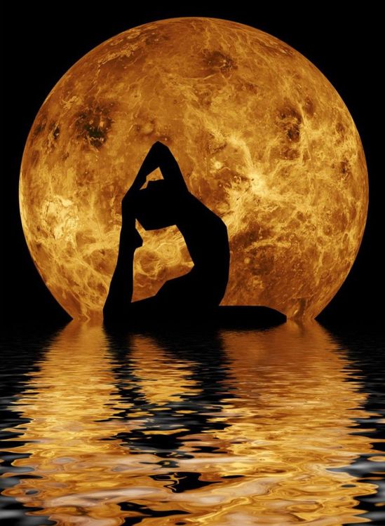 Алмазная вышивка «Лунный фитнес» — картинка 2