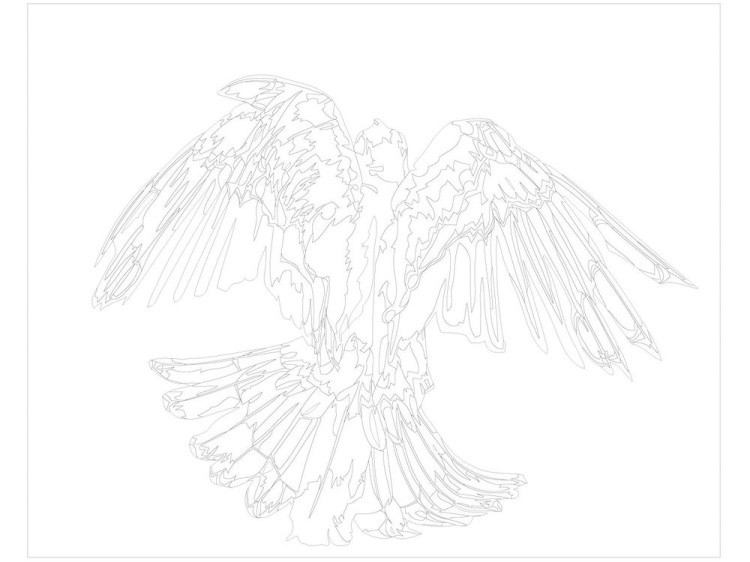 Картина по номерам «Сине-зелёная птица» — картинка 3