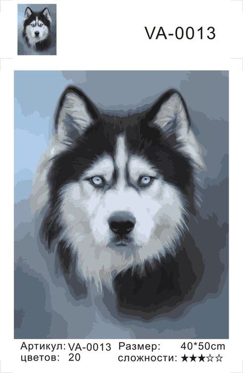 Картина по номерам «Хаски» — картинка 2