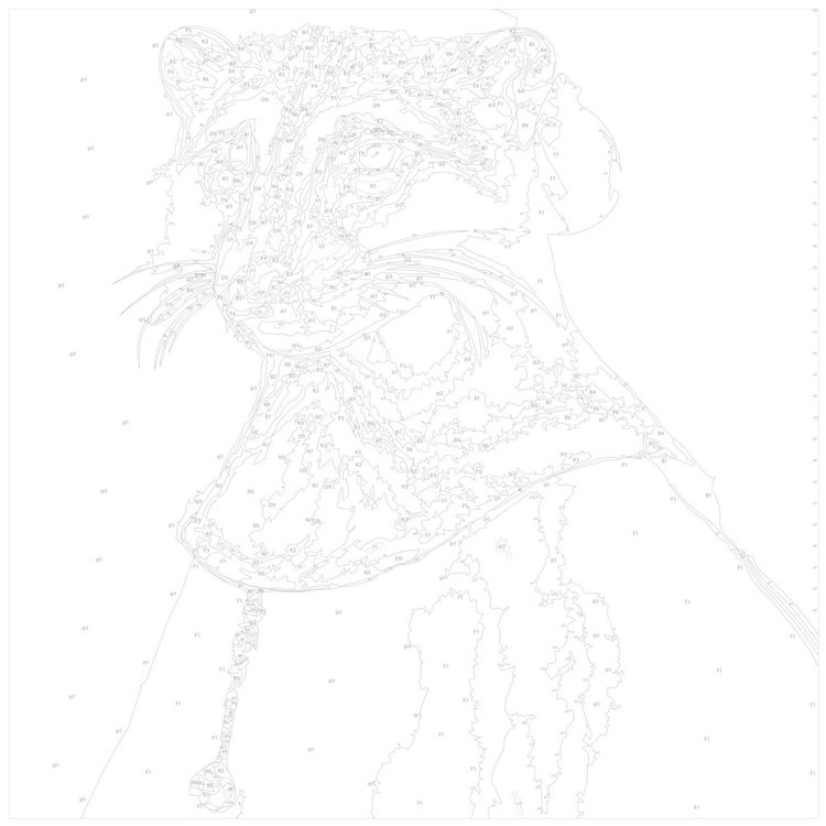 Картина по номерам «Выдра в историческом костюме» — картинка 3