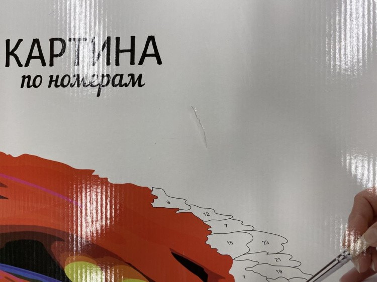 УЦЕНКА. Картина по номерам «Следуй за мной в Санкт-Петербург» (порвана коробка) — картинка 3