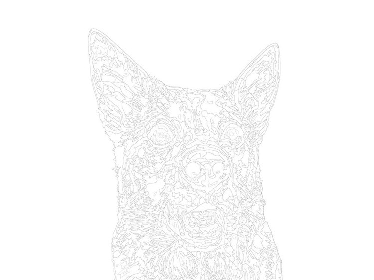 Картина по номерам «Мика» — картинка 3