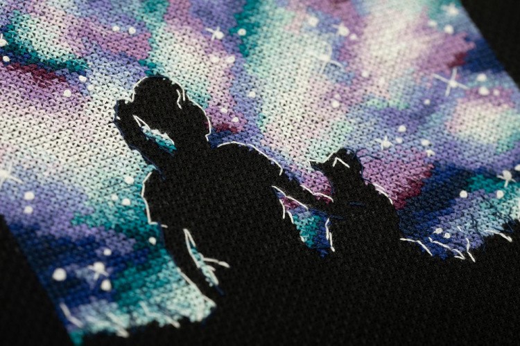 Набор для вышивания «Лучшие подруги во Вселенной» — картинка 4