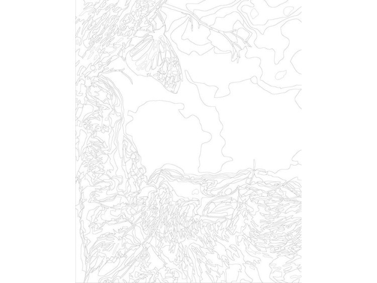 Картина по номерам «Котёнок и бабочка» — картинка 3