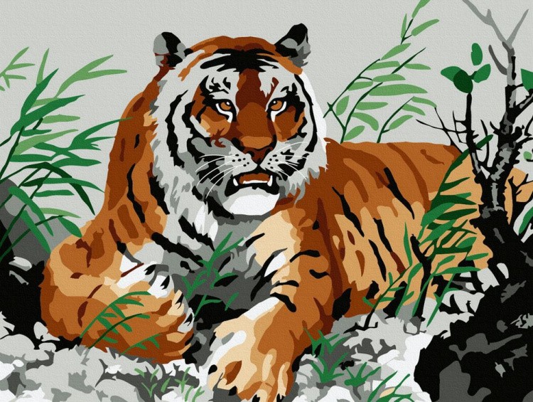 Картина по номерам «Тигр на отдыхе»