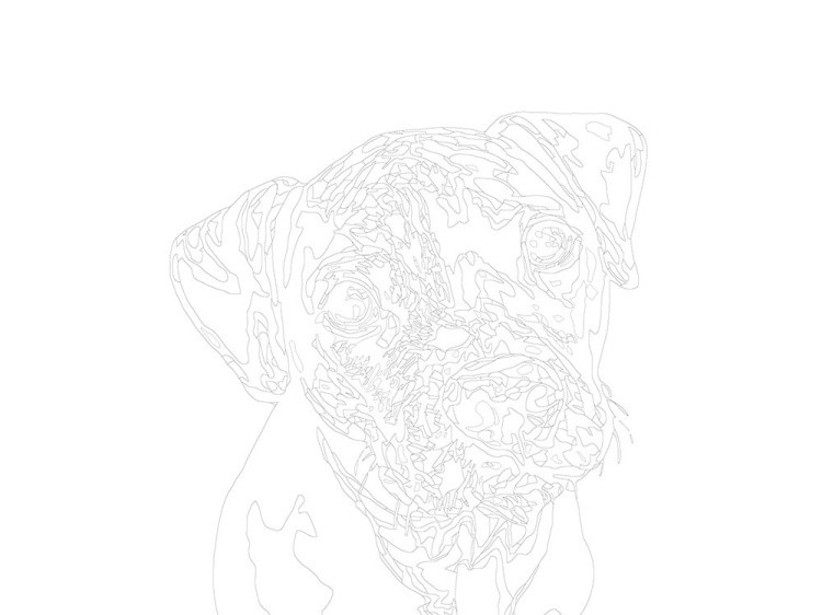 Картина по номерам «Тоби» — картинка 3