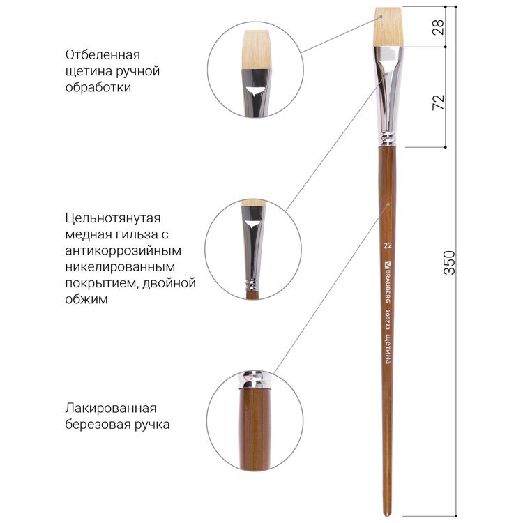 Кисть художественная профессиональная Art Classic, щетина, плоская, № 22, длинная ручка, Brauberg — картинка 4