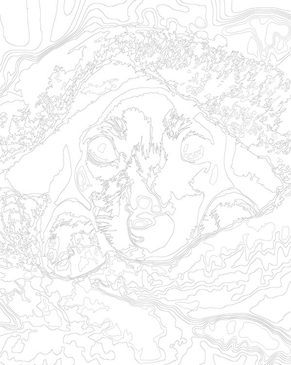 Картина по номерам «Собаки: щенок таксы под теплым пледом» — картинка 3