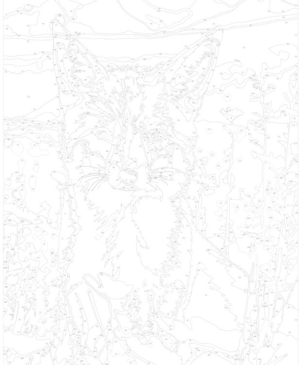 Картина по номерам «Рыжий лис в ромашках» — картинка 3