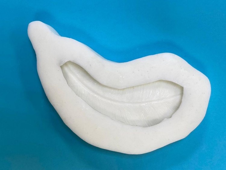 Молд №503 Объемное Перо (20,5x9,5 см), Art Blong — картинка 3