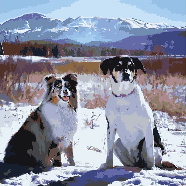 Картина по номерам «Две собаки»
