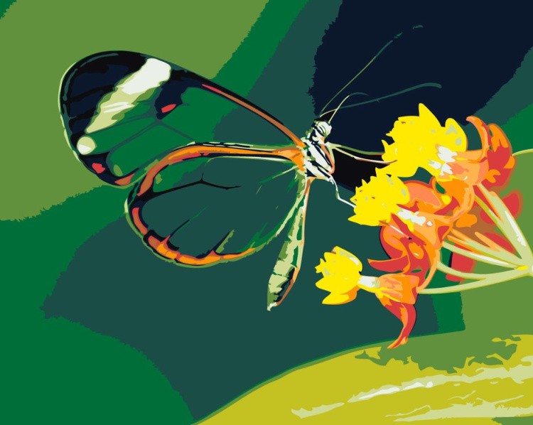Картина по номерам «Изящная бабочка»