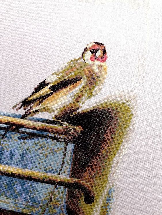Набор для вышивания «Щегол. Карел Фабрициус» — картинка 4