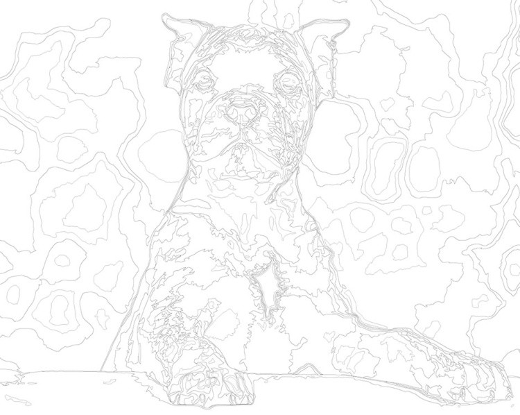 Картина по номерам «Собака Кане корсо ценок, чернобелая 40x50» — картинка 3