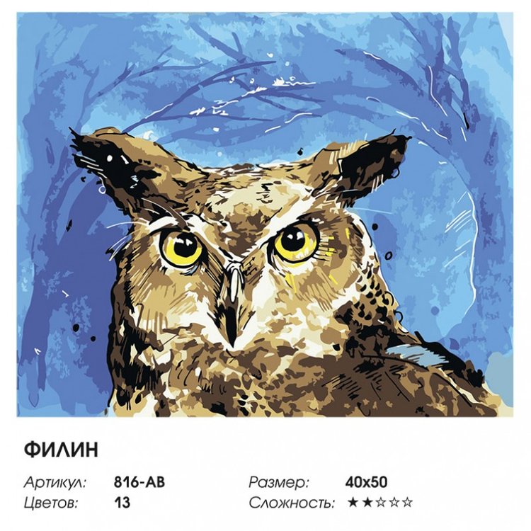 Картина по номерам «Филин» — картинка 2