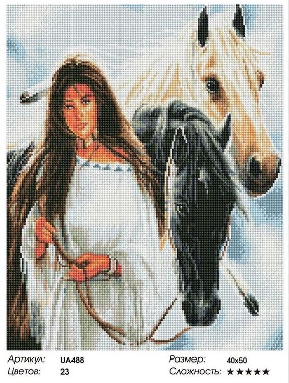 Алмазная вышивка «Индейская девушка и лошади» — картинка 2