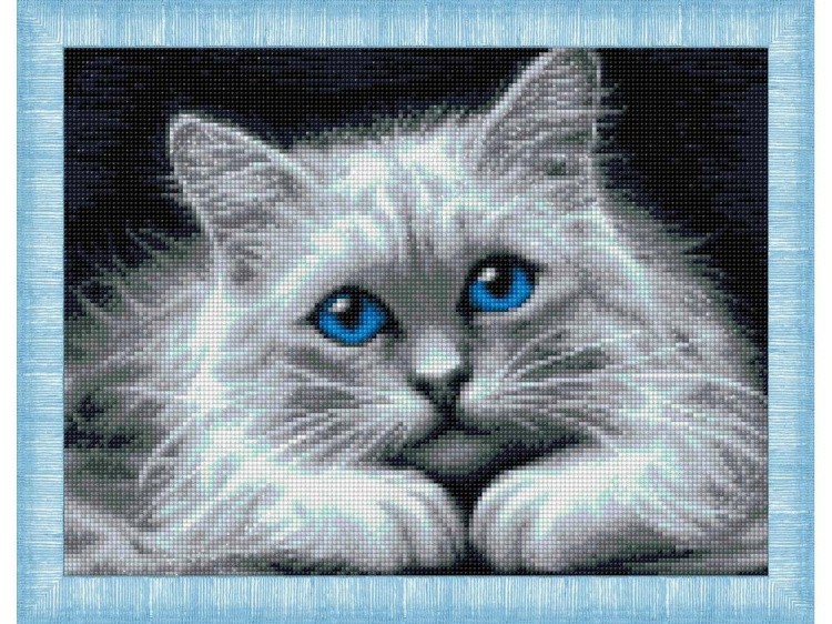 Алмазная вышивка «Голубоглазая кошка»