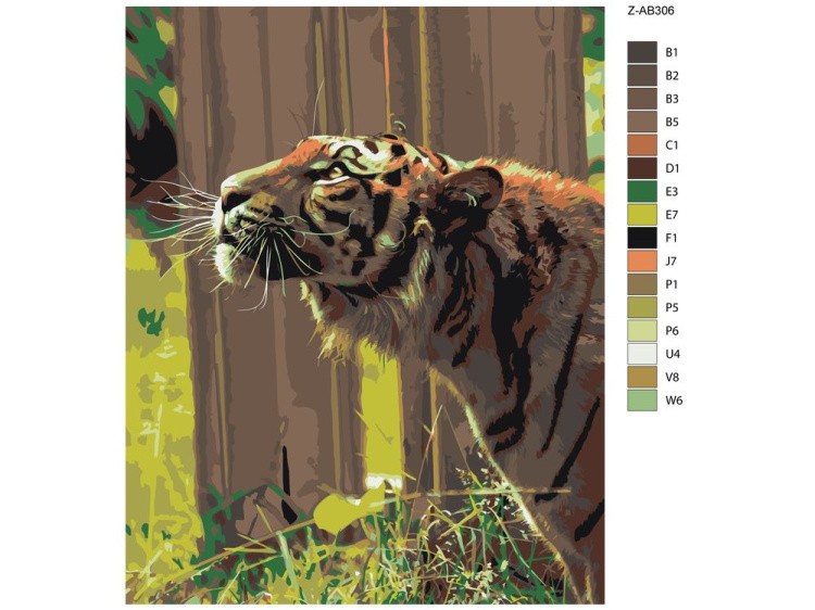 Картина по номерам «Тигр» — картинка 2