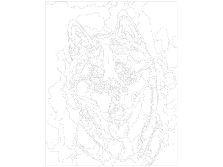 Картина по номерам «Хаски» — картинка 3