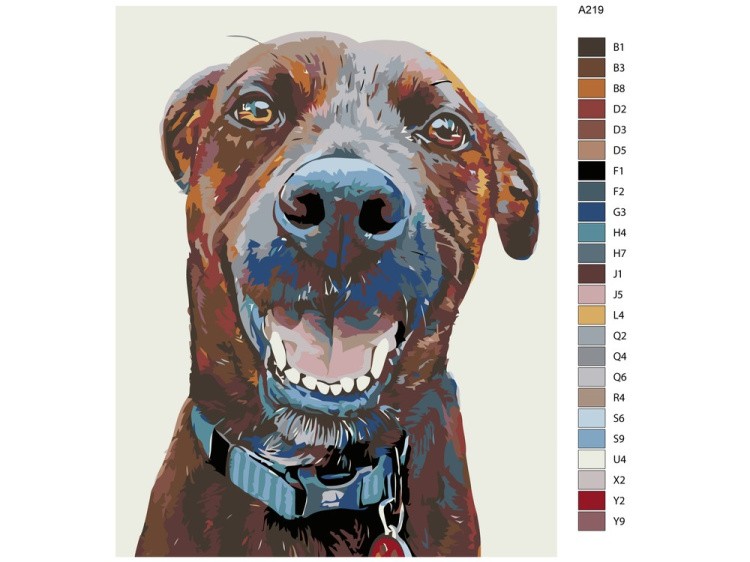 Картина по номерам «Тибет» — картинка 2