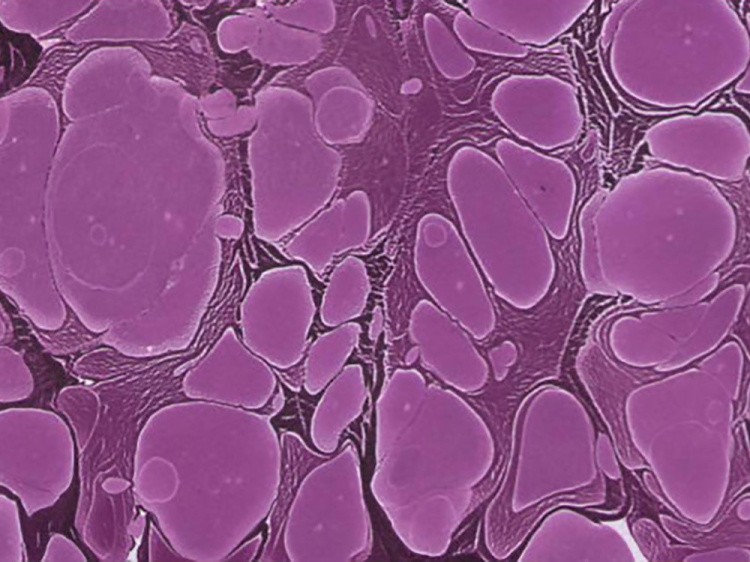 Краска для эбру фиолетовая 30 мл, Karin — картинка 3