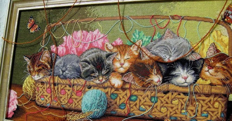 Набор для вышивания «Новорожденные котята» — картинка 3