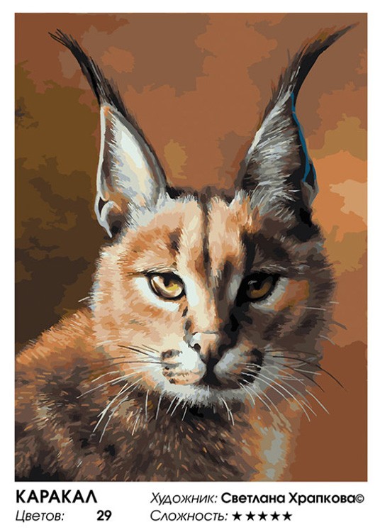 Картина по номерам «Каракал» — картинка 2