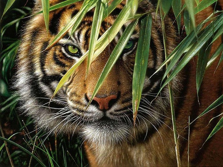 Картина по номерам «Изумрудный лес» — картинка 2