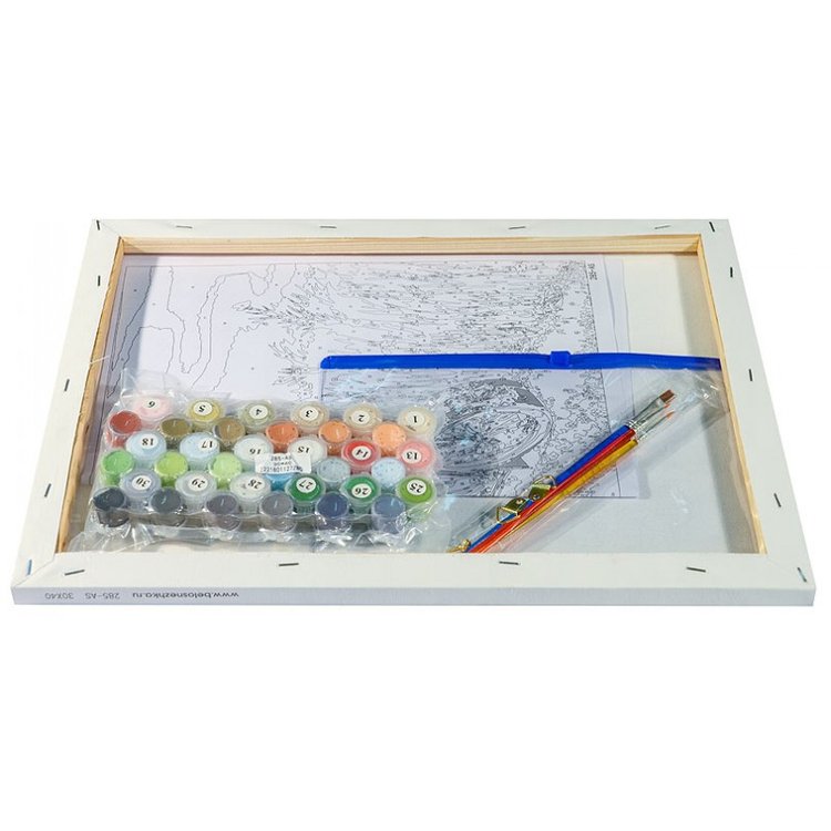 Картина по номерам «Котоциклист» — картинка 3