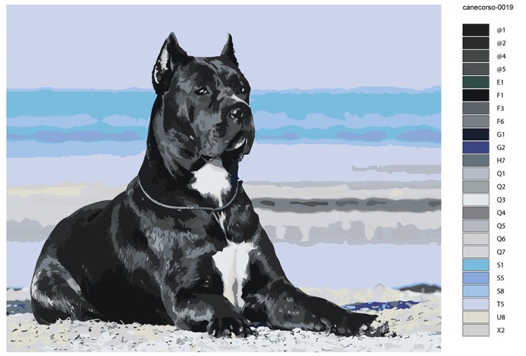 Картина по номерам «Собака Кане корсо на пляже, море 40x50» — картинка 2