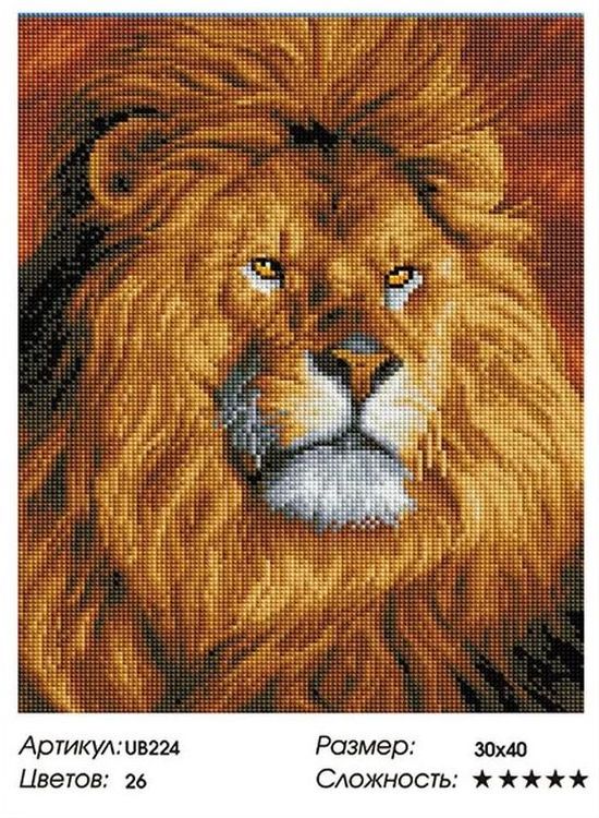 Алмазная вышивка «Царь зверей» — картинка 2