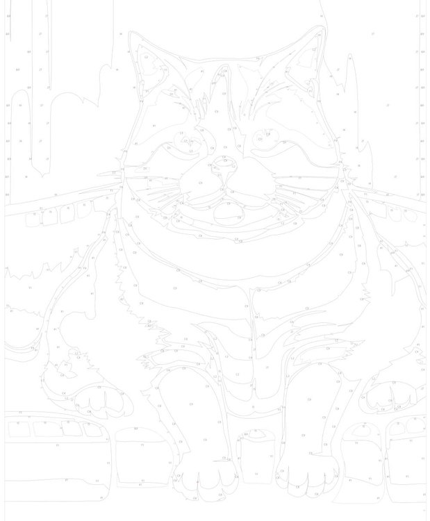 Картина по номерам «Кот-толстяк» — картинка 3