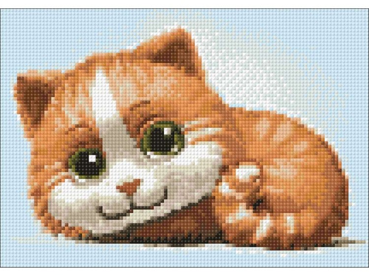 Алмазная вышивка «Рыжик» — картинка 3