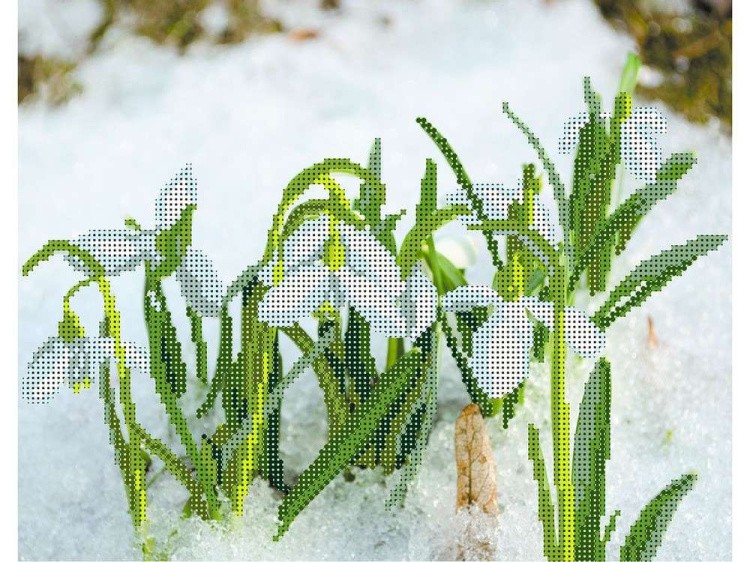 Набор вышивки бисером «Подснежники» — картинка 2