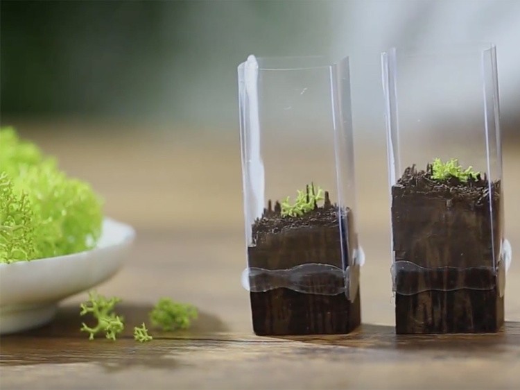 Мох ягель стабилизированный темно-зеленый — картинка 4