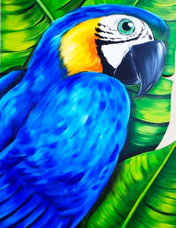 Алмазная вышивка «Сине-желтый ара» — картинка 2