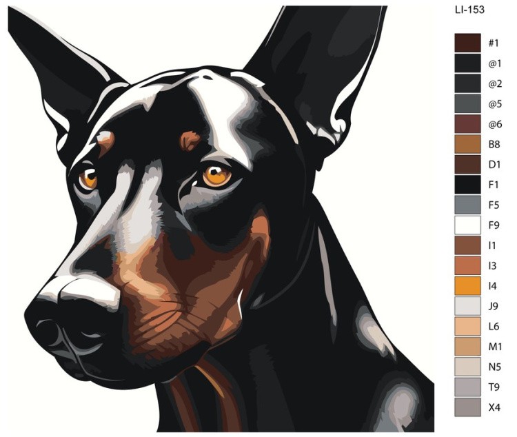 Картина по номерам «Доберман» — картинка 2